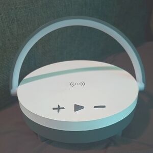 Modern White and Gray Wireless Speaker